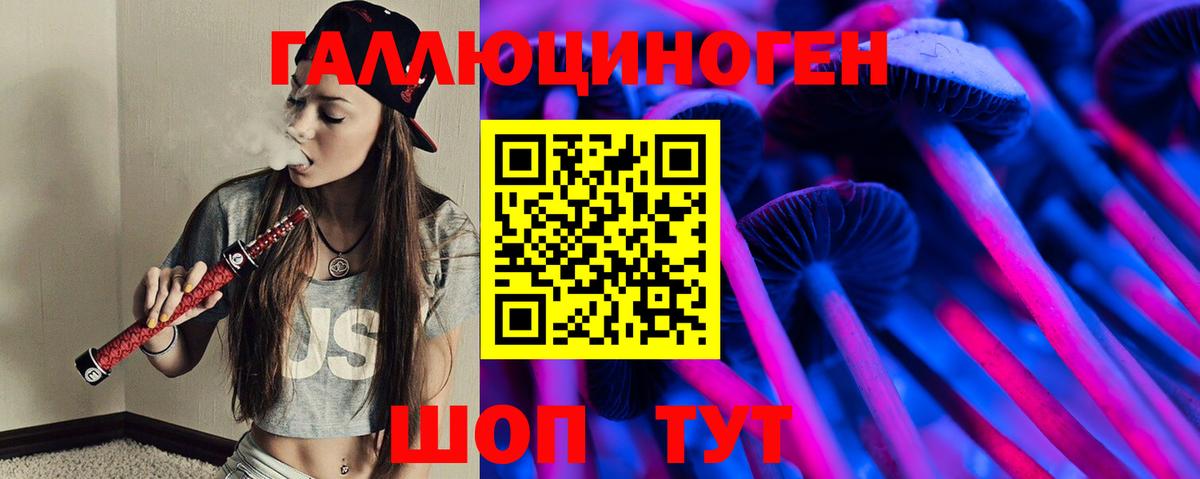Галлюциногенные грибы Psilocybine cubensis Ступино