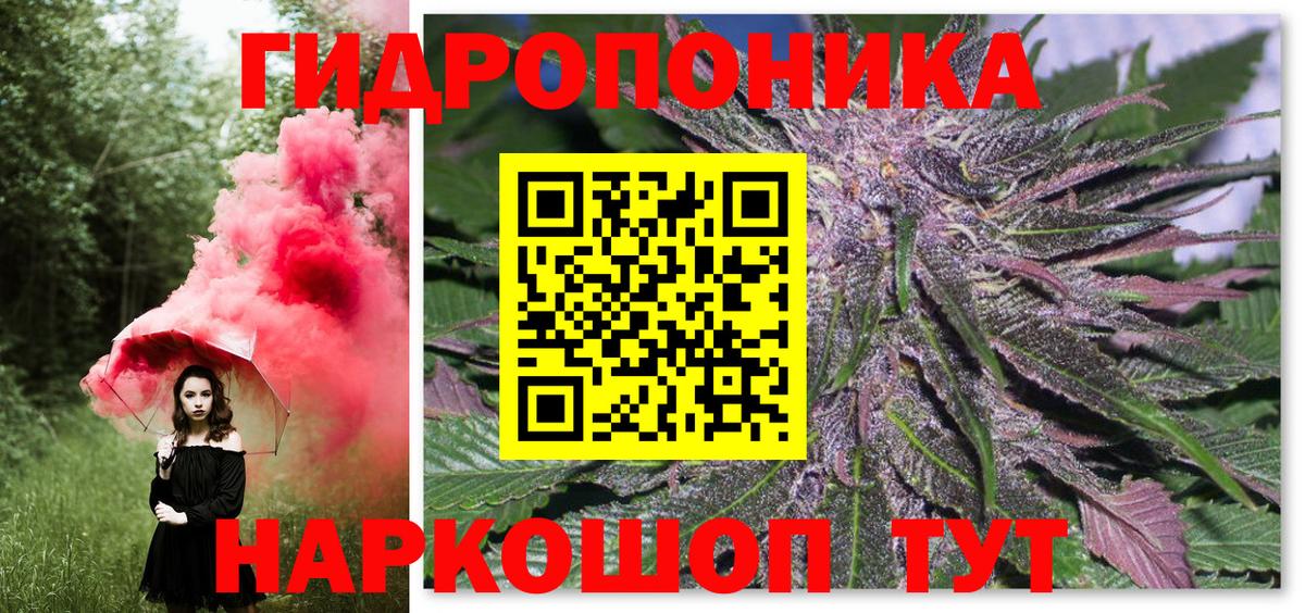 Шишки марихуана семена Ступино